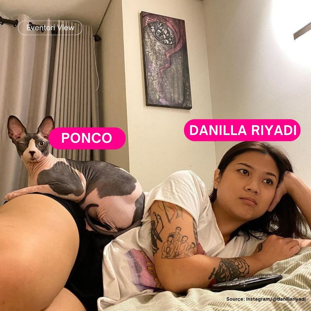 danilla riyadi dan kucingnya